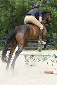 Gertjan and Big Money