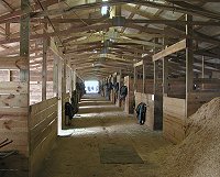 Our barn