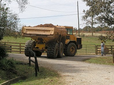 Our horses are not afraid of trucks.