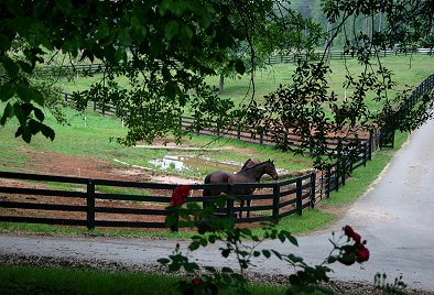alt="front driveway to Bits &amp; Bytes Farm"