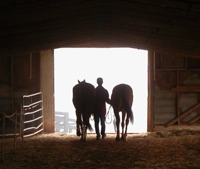 Morning turnout at Bits & Bytes Farm 