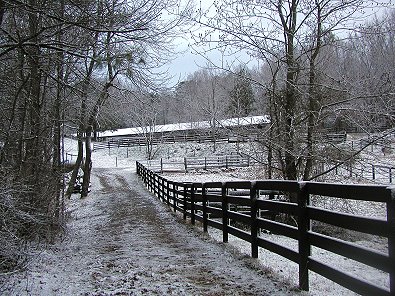 Snow at Bits & Bytes Farm