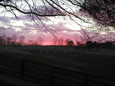Sunset at Bits & Bytes Farm