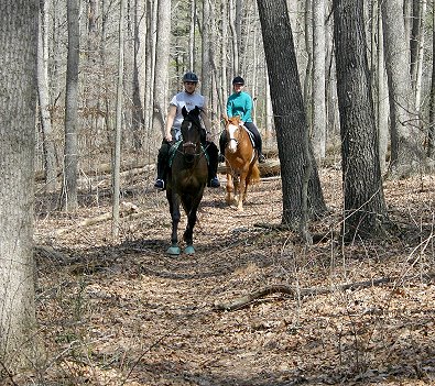 Bits & Bytes Farm has some trails 