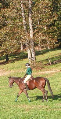 Ace's Angel - October 16, 2004 at the Shakerag Hunter Pace.