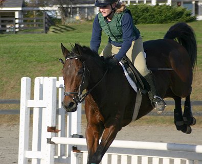 Ace's Angel and Paula schooling at Oxer Farm - November 14, 2004.
