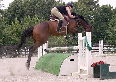 Ace's Angel loves to jump!