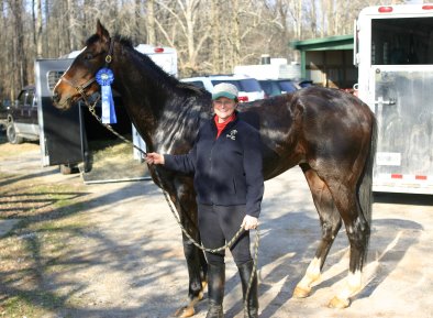 Aly's Alpha Boy wins a blue ribbon at his first hunter pace.