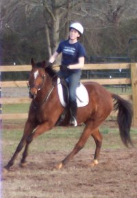 Artic Vic was a Prospect Horse for Sale.