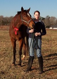 Artic Vic was sold to  young rider Jennifer Bliss.