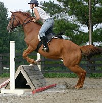 Bailey and Rachael jump the coop.