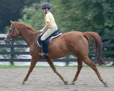 Joshua and Baileysontherocks