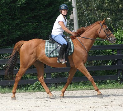 Baileysontherocks - September 11, 2004