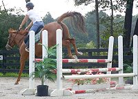 Baileysontherocks - September 11, 2004