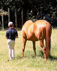 Baileysontherocks and Joshua.