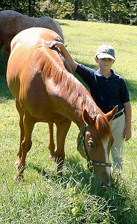 Baileysontherocks and Josh.