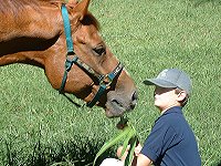 Baileysontherocks and Joshua