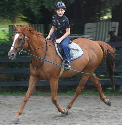 Baileysontherocks - August 2004