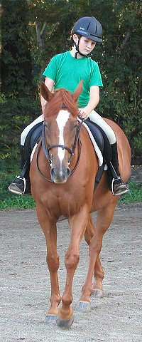 Baileysontherocks and Josh