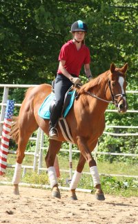 Baileysontherocks with Nikki Surrusco - his second owner since being at Bits & Bytes Farm.