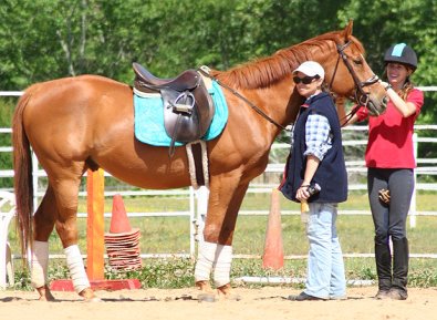 OTTB Baileysontherocks and his new family.