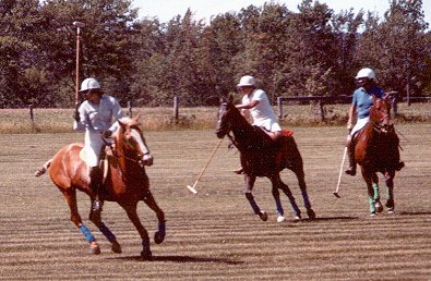 Banner and Elizabeth played polo.