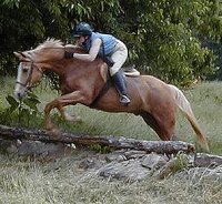 Banner at a hunter pace in 2000