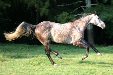 Barbo - July 23, 2005