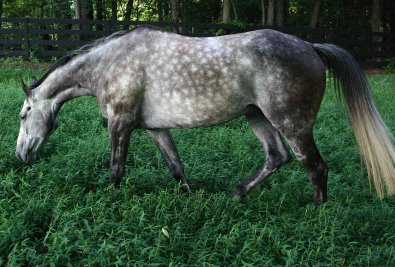 Barbo - July 23, 2005