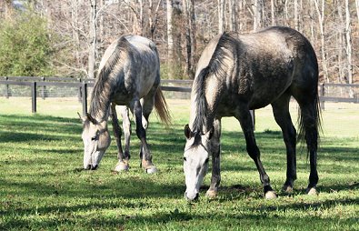 Barbo and Artic Gamble. Janaury 2007 