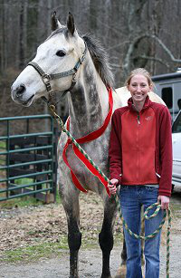 Barbo was a Horse For Sale at Bits & Bytes Farm.