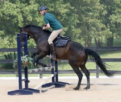 Gertjan van Roekel riding Big Money at the GDCTA Kudzu Klinic