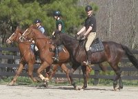 Musical ride in the arena.