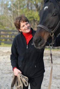 Bounced is our BAYby. He is a horse for sale at Bits & Bytes Farm.