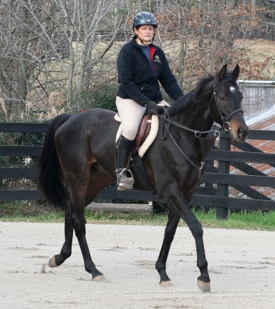 Bounced could also do dressage or eventing.