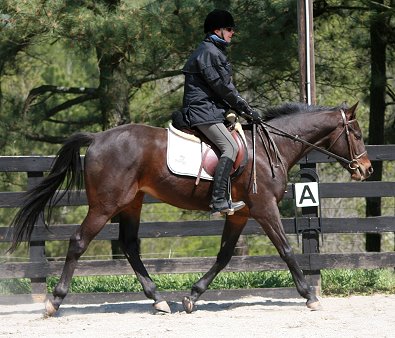 Bounced and visitor Susan Fore. - April 7, 2007