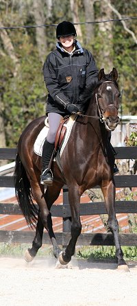 Horse for Sale - Bounced and visitor Susan Fore. - April 7, 2007 