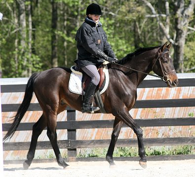 Bounced turned four on April 10, 2007 