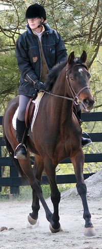 Horse for Sale - Bounced and visitor Susan Fore. - April 7, 2007 