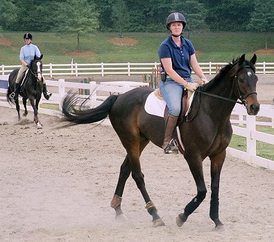 Horse for sale - Bounced, checked out the competition and did not find anything to worry about. May 12, 2007