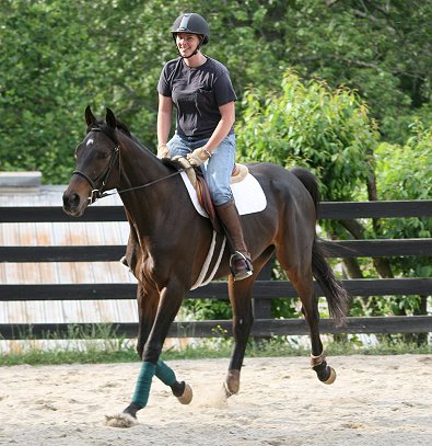 Horse for sale - Bounced with his trainer Karen Boysen. - May 16, 2006 