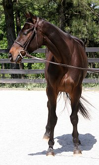 Bounced May 20, 2007 