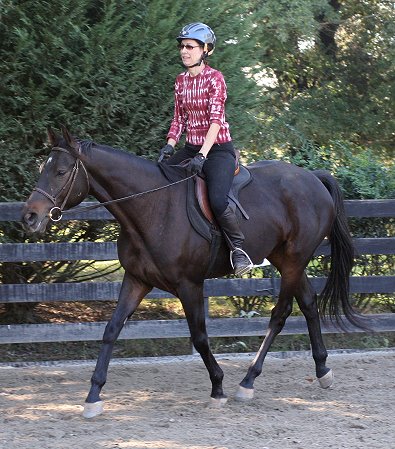 Horse for sale - Bounced. - October 28, 2007  width=