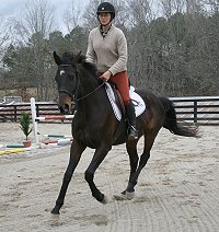 Horse for sale - Bounced. - January 29, 2008