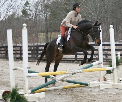 Horse For Sale - Bounced January 29, 2008