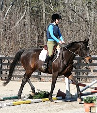 OTTB - Bounced and visitor Maggie Gorji. February 10, 2008 