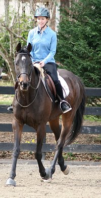 Bounced is a Horse For Sale at the farm. 