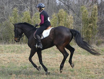 Bounced and Andi enjoyed a good gallop along the Etowas River.