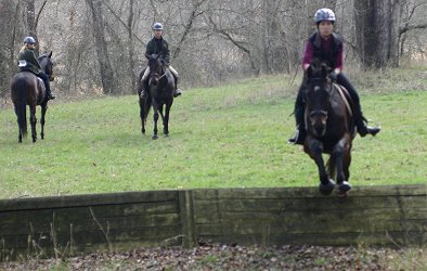 Andi and Bounced jumped the coops.