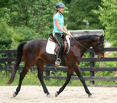 Our North Carolina visitor Becky Skahill takes Horse For Sale - Bounced for a test ride. May 10, 2008